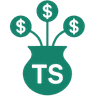 TaxedIn Solutions Inc.